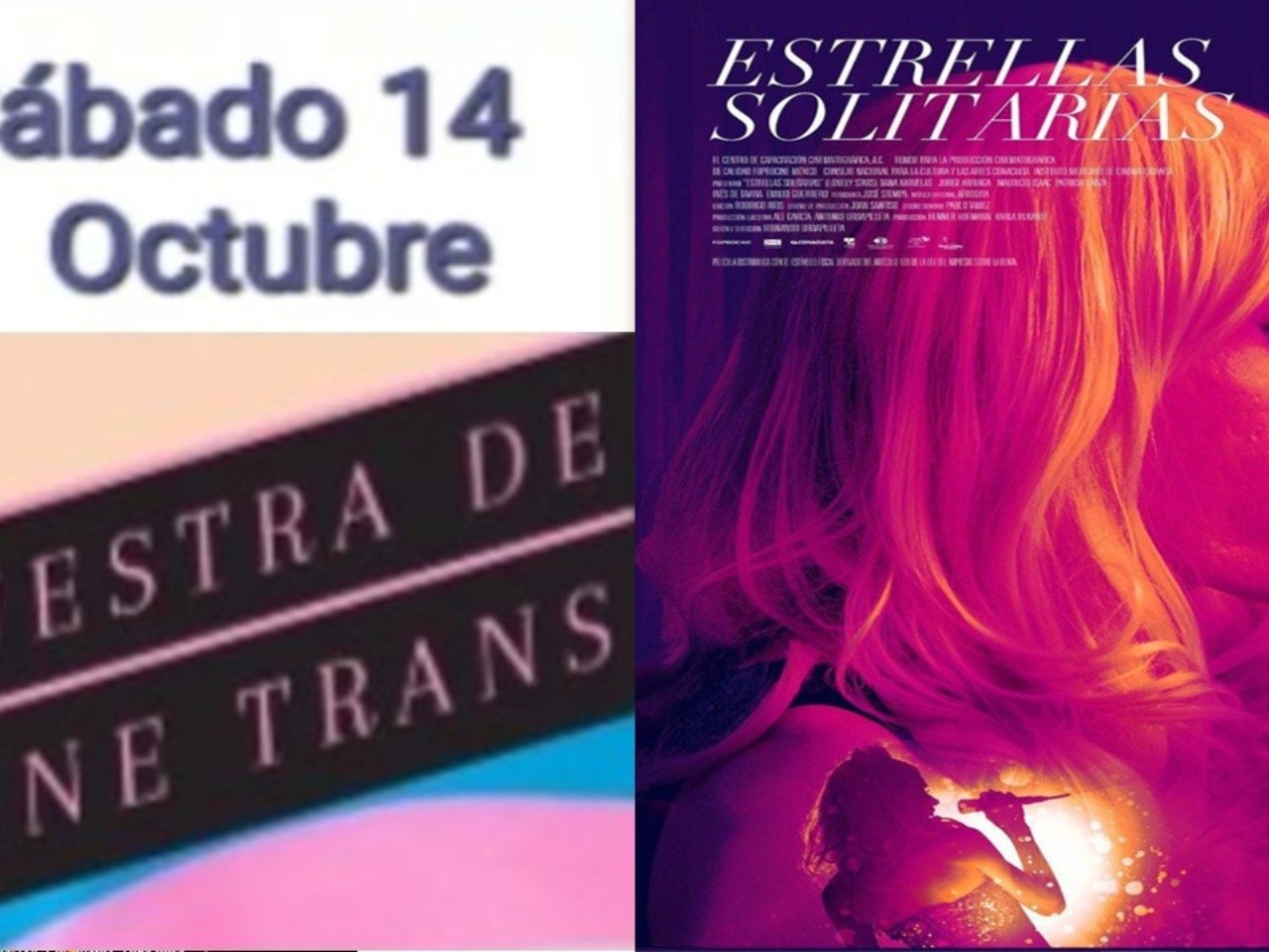 Colectivo LGBT+ te invita a una muestra de Cine Trans en CDMX este fin de  semana | DIVERSO Salidas