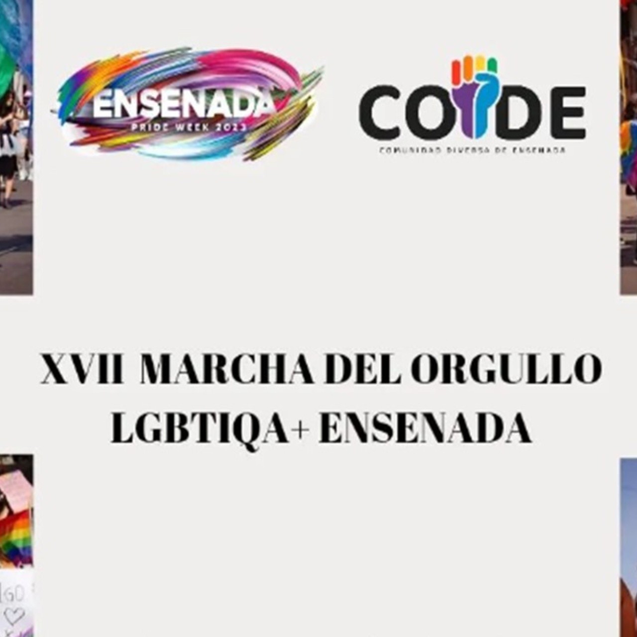 Quieres ser parte del Comité Organizador de la Marcha LGBT+ 2024 de Ensenada?  ¡Checa esto! | DIVERSO Salidas